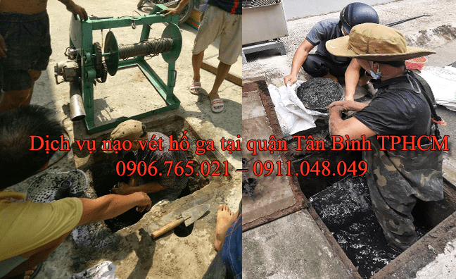 Danh-gia-nao-vet-ho-ga-quan-tan-binh-min