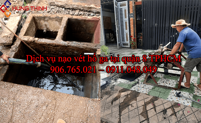 Dich-vu-nao-vet-ho-ga-tai-quan-8-min Dich-vu-nao-vet-ho-ga-tai-quan-8